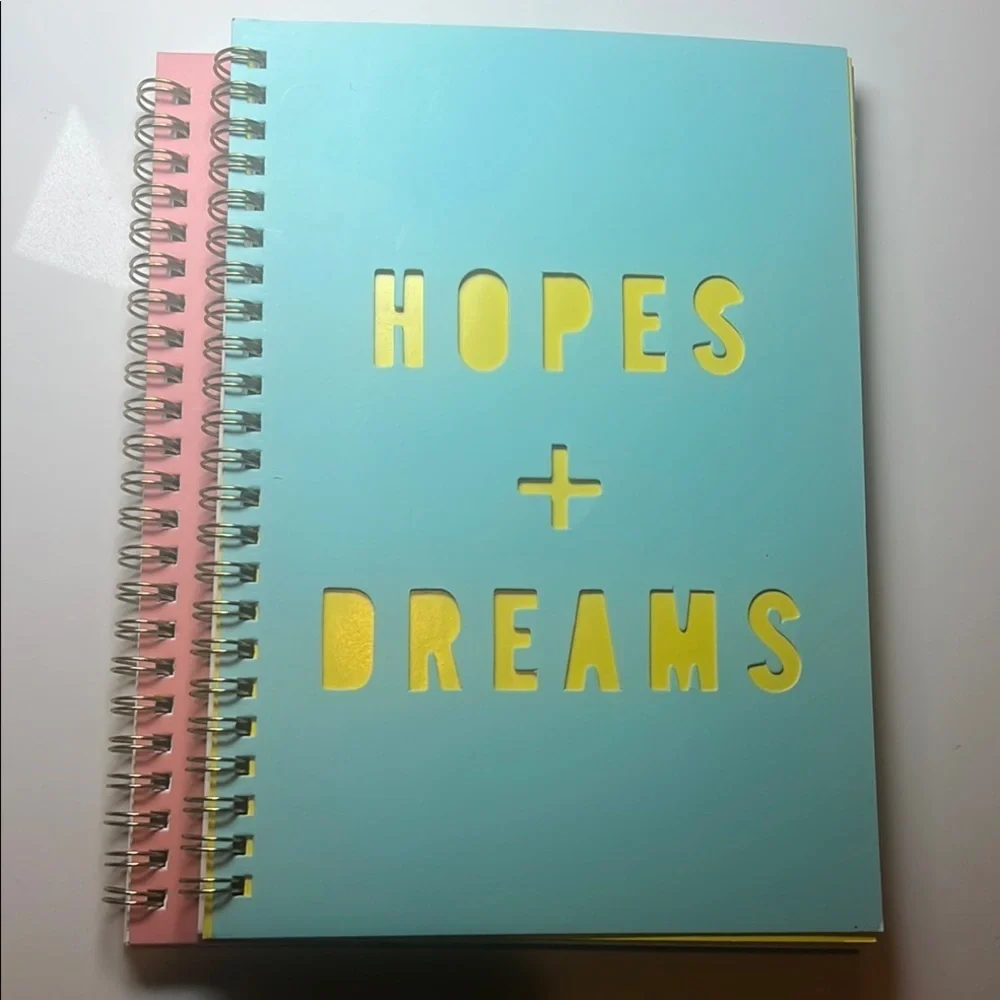 Set of 2 Pastel Pink and Blue Spiral Notebooks